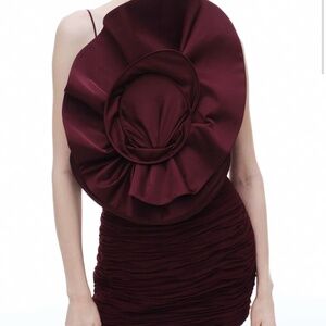 Magda Butrym h&m rosé applique dress